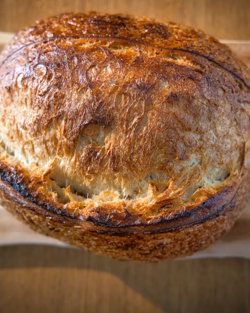 A deeply scored sourdough loaf (sample photo)